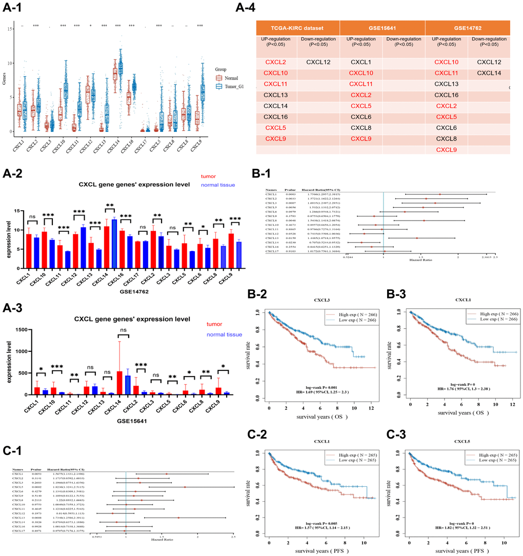 A plot showing the expression of CXCL genes in three datasets, TCGA-KIRC (A-1), GSE14762 (A-2), and GSE15641 (A-3). The expression of selected CXCL genes (CXCL 2/5/9/10/11) was upregulated in cancer tissues from the three datasets (A-4). In the TCGA-KIRC dataset, the OS and PFS of patients were analyzed. Selected CXCL genes (CXCL 1/2/3/5/8/13/14) were found to influence the prognosis of OS as shown in the forest plot (B-1). KM analysis was also performed on CXCL3 (B-2) and CXCL1 (B-3), with CXCL3 showing a P-value of 0.001 and CXCL1 showing a P-value of C-1), and KM analysis was performed on CXCL1 and CXCL5, with CXCL1 showing a P-value of 0.005 and CXCL5 showing a P-value of C-2, C-3).