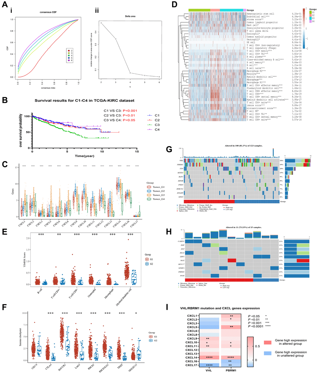 Unsupervised cluster analysis was performed on the TCGA-KIRC dataset to group patients based on the expression level of CXCL genes. The results show the distribution of four clusters, CDF plot (A-i) and delta area plot (A-ii) were presented. The overall survival (OS) of patients in each cluster was analyzed using KM (B). The expression of CXCL genes was analyzed between the clusters (C), and the immune components of the clusters were analyzed using the xCELL and TIMER methods (D, E). The immune checkpoints’ expression was also analyzed between the C3 and C4 clusters (F). The mutation condition of patients in the C3 and C4 clusters was also analyzed (G, H), as well as the correlation between VHL/RBPM1 mutation and the expression of CXCL genes (I).