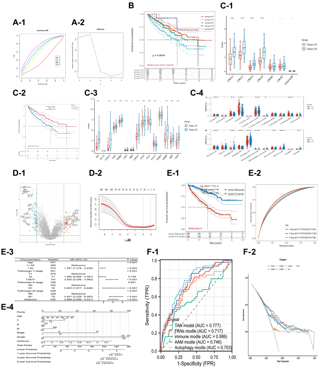 Unsupervised cluster analysis for TAN 1/2 markers in the KIRC dataset. The CDF plot (A-1) and delta area plot (A-2). (B) Indicates the KM analysis for the 5 subtypes. (C) Shows the prognostic value and TAN 2 markers for the subtype 1/2. The CXCL genes (C-1) for the subtype 1/2, the KM analysis (C-2) for subtype 1/2, the TAN 2 markers (C-3) between subtype 1/2, and the percentage of immune components (C-4) for the subtype 1/2. (D) Illustrates the different expression genes and lasso analysis for subtype 1/2. The volcano plot (D-1) and the process of lasso analysis (D-2). (E) Shows the prognostic value of TAN-related risk score in the KIRC dataset. The KM analysis (E-1) for different risk scores, the ROC time-dependent analysis (E-2), The forest plot of the univariate COX analysis for risk score and other clinical information (E-3), The nomogram (E-4). (F) Shows the comparison between 5 different renal cancer-related signatures. The ROC time-dependent analysis (F-1) and DCA analysis (F-2).