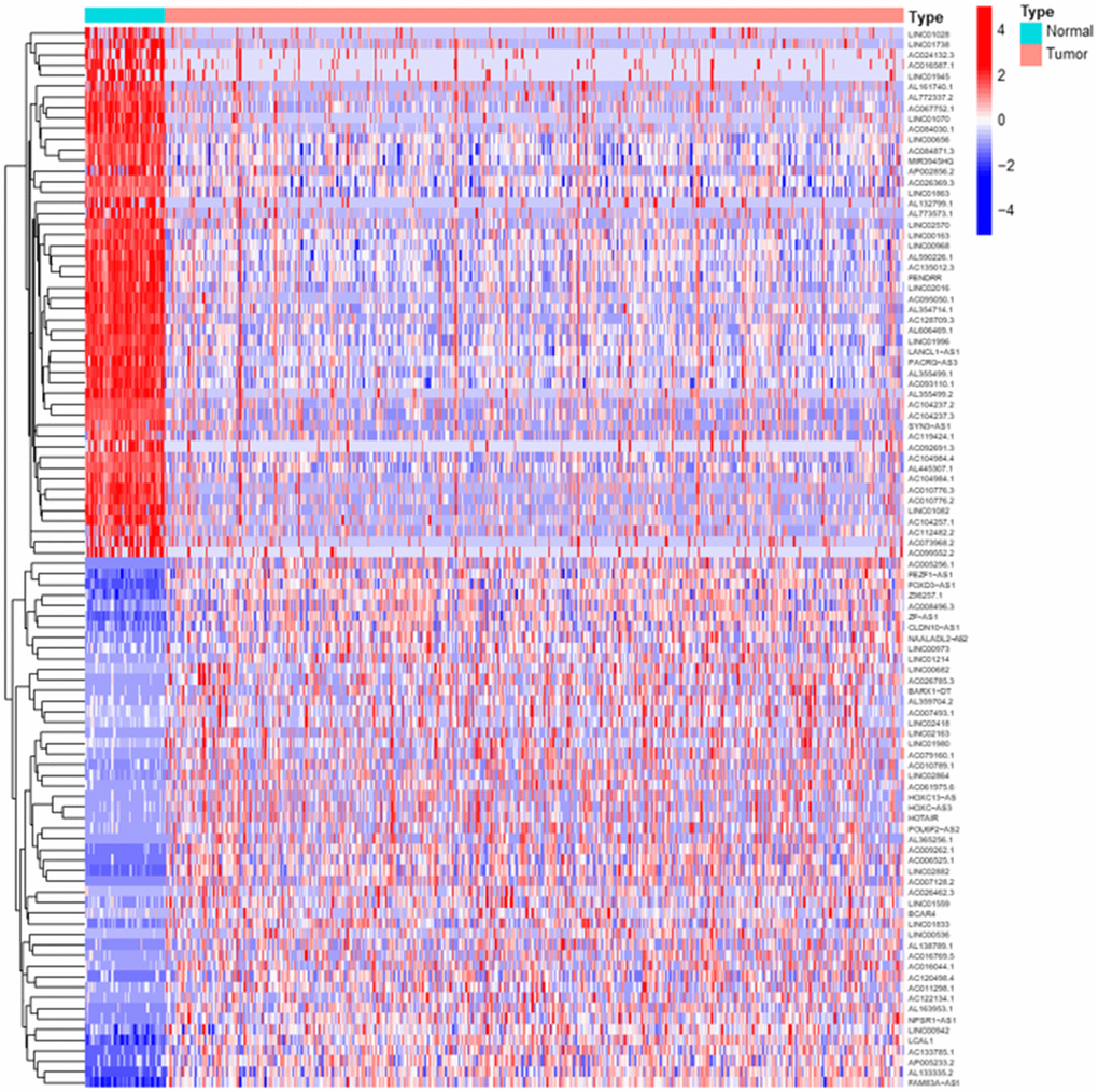 Differentially expressed LUAD lncRNAs. The heatmap showed the top 50 upregulated and downregulated DElncRs between LUAD tumor tissues and normal tissues. The blue parts represent downregulated lncRNAs and the red parts represent the upregulated lncRNAs.