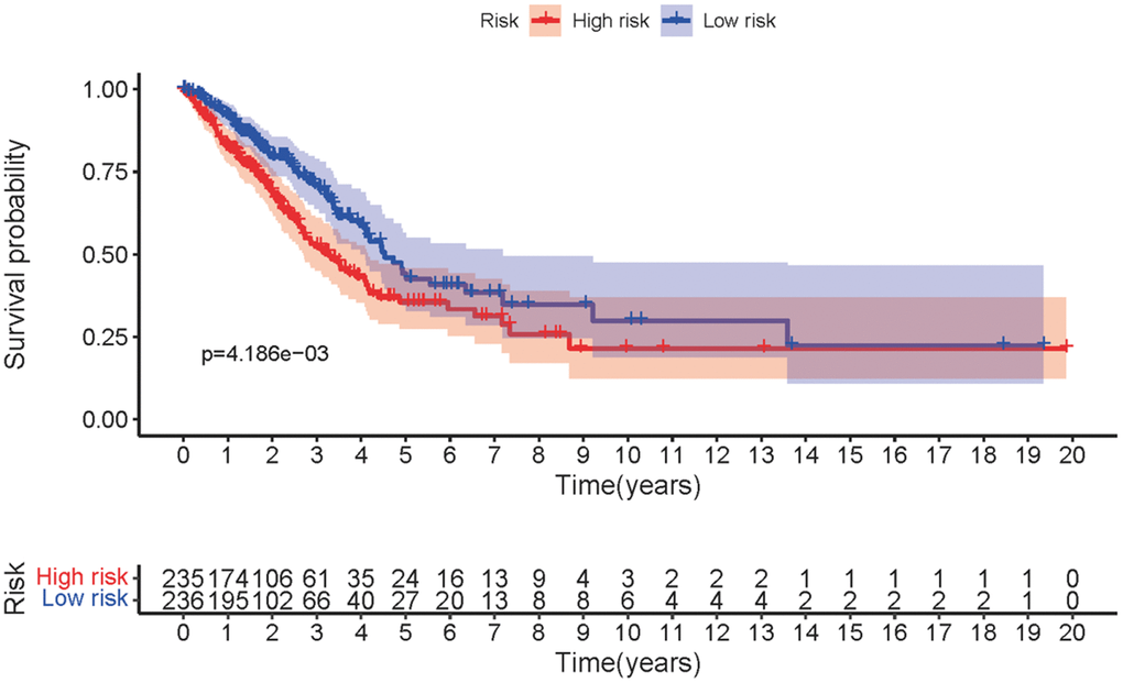 The survival curve of MRRS. Kaplan-Meier survival curve of survival probability in low-risk and high-risk groups of LUAD patients.