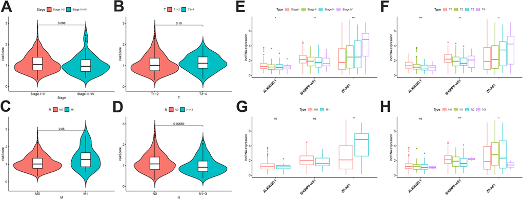 The relationship between the risk score and clinical features. Relationships between MRRS and stage (A), T- stage (B), M stage (C) and N- stage (D). Relationships between sMRLNRs and stage (E), T-stage (F), M-stage (G) and N-stage (H).