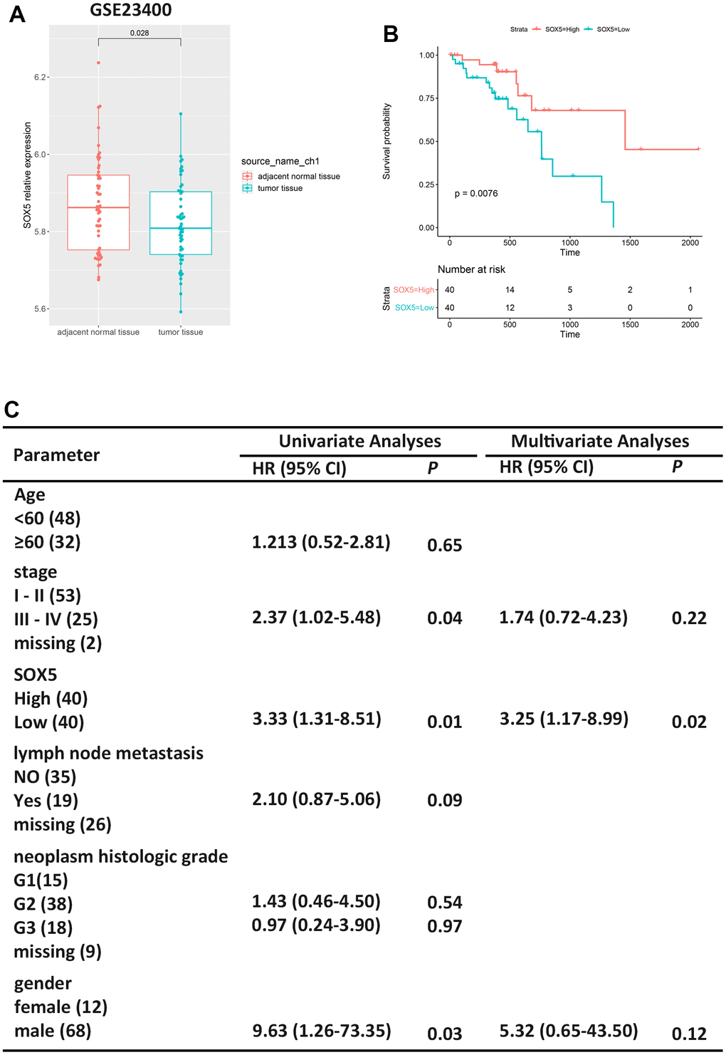 Low expression of SOX5 in ESCC is associated to survival. (A) Expression boxplots of SOX5 in ESCC tumor tissue and adjacent normal tissue from GSE23400. (B) Survival analysis of SOX5 in ESCC samples from TCGA-ESCC. (C) Univariate and multivariate cox regression analyses of clinicopathological characteristics for OS in ESCC samples from TCGA-ESCC. HR, hazard ratio; CI, confidence interval.
