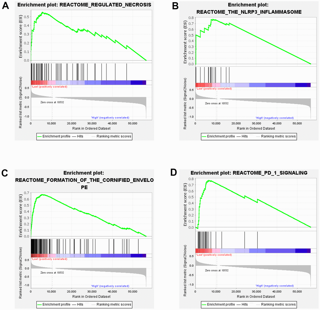 Results of GSEA in ESCC. (A–D) GSEA enrichment analysis of SOX5 in TCGA-ESCC.