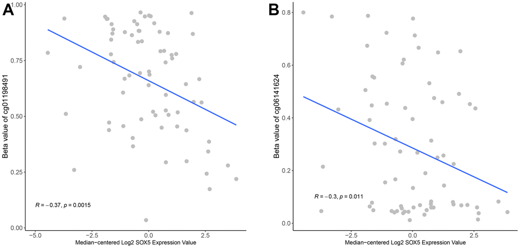 SOX5 expression was negatively correlated with its methylation in ESCC. The correlation of SOX5 expression and beta-value of cg01198491 (A) and cg06141624 (B).