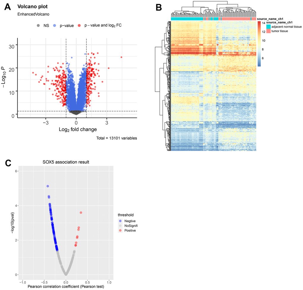 Identification of DEGs in ESCC. (A) Volcano map and (B) heatmap of DEGs between ESCC samples and control samples from GSE23400. (C) Correlations between SOX5 and DEGs in ESCC were analyzed using Pearson-correlation analysis.