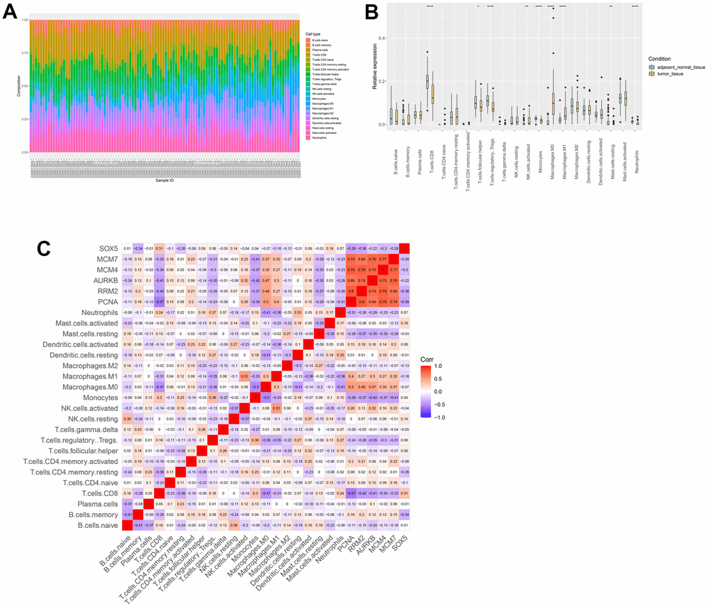 Immune infiltration analysis. (A) The composition of immune cells estimated in ESCC. (B) Differential expression of different types of immune cells between ESCC and normal samples. (C) The relationships among immune cells and between hub genes and immune cells.