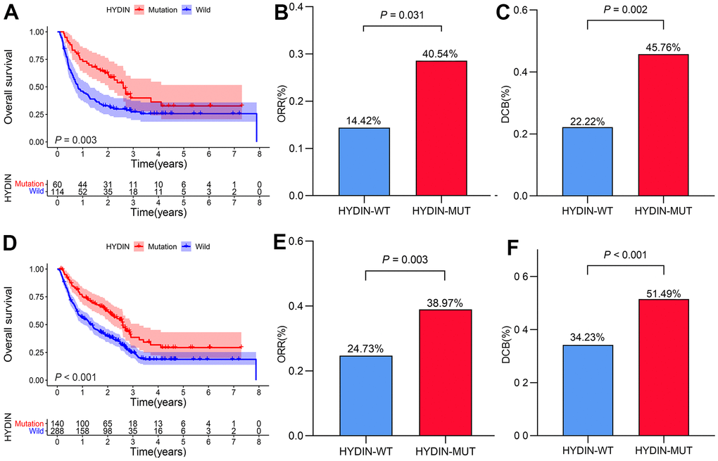 Validation of the prognostic value of HYDIN status. The Kaplan–Meier curve of overall survival in the anti-CTLA4 treated cohort (A). Histogram depicting proportions of ORR (B) and DCB (C) in HYDIN-MUT and HYDIN-WT patients in the anti-CTLA4 treated cohort. Kaplan–Meier curves of overall survival in the total ICIs treatment cohort (D). Histogram depicting proportions of ORR (E) and DCB (F) in HYDIN-MUT and HYDIN-WT patients in the total ICIs treatment cohort. DCB, durable clinical benefit; ORR, objective response rate; HYDIN-MUT, HYDIN mutations; HYDIN-WT, HYDIN wild-type; anti-CTLA4, anti-cytotoxic T-lymphocyte associated protein 4.