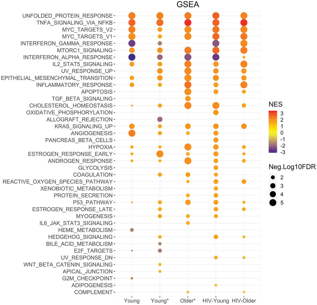 Enrichment analysis highlights unique signatures with Dectin-1 stimulation across cohorts. Functional enrichment was performed using the Broad institutes Hallmark gene set enrichment analysis. GSEA performed using Hallmark gene sets for each cohort. The dot graph represents the significant Hallmark pathways identified in WGP stimulated Inflammatory monocytes of the respective cohort. The pathways with FDR of 