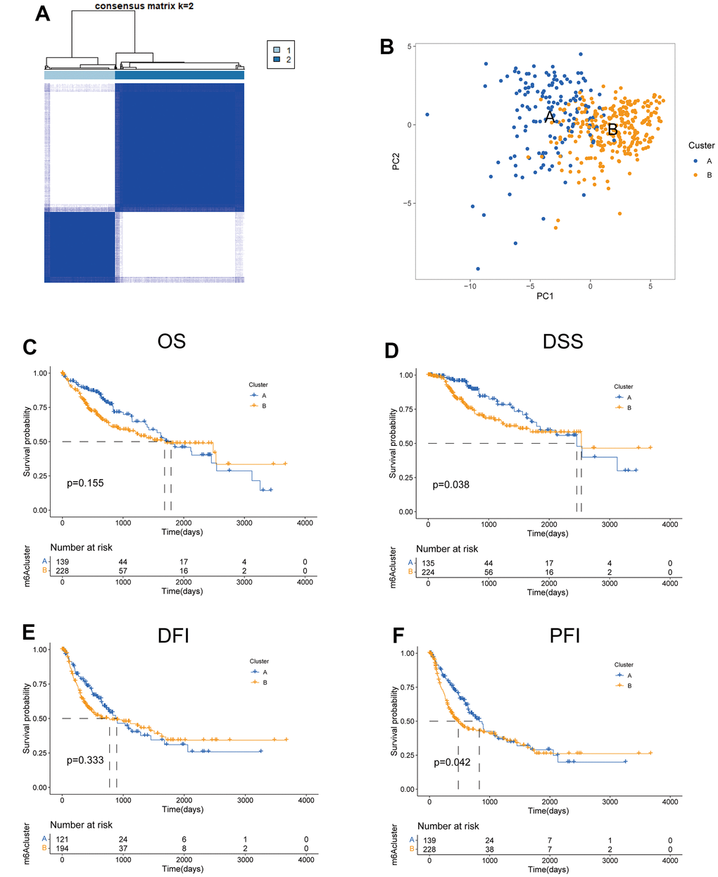 Features of two TRPGs clusters. (A) Consensus heatmap matrix and correlations areas of two clusters (k=2). (B) PCA analysis found the difference between the two clusters. Univariate analysis showed 42 TRPGs related to the OS (C), the DSS (D), the DFI (E), and the PFI (F). OS, overall survival; DSS, disease-specific survival; DFI, disease-free interval; DFI, progression-free interval.