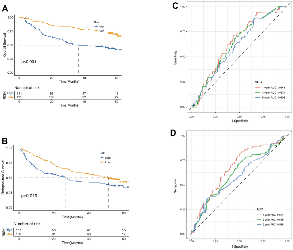 Validation of prognostic model based on TRPGs. Kaplan-Meier survival analysis of high- and low-risk groups in validation dataset GSE14520 (A), OS. (B), RFS (log-rank tests, p C) and RFS (D) of HCC patients in GSE14520. TRPGs, tryptophan metabolism-related genes; HCC, hepatocellular carcinoma.