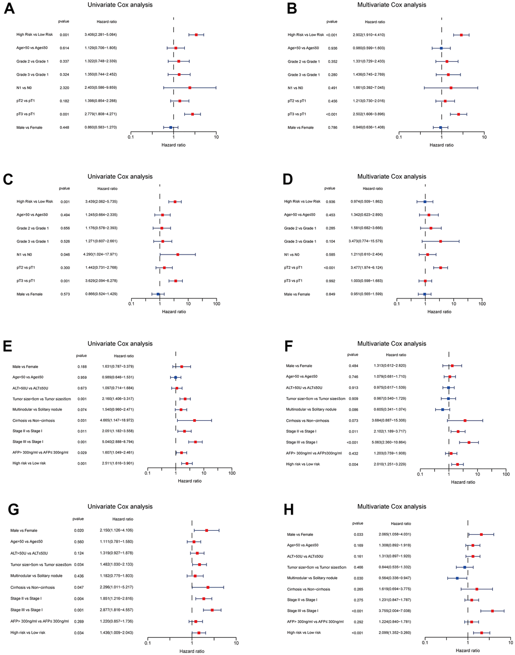 Independent prognosis analyses of TRPGs risk model in TCGA and GES14520 HCC cohorts. (A, B) Univariate and Multivariate Cox regression of risk score based on OS in TCGA HCC cohort. (C, D) Univariate and Multivariate Cox regression of risk score based on RFS in TCGA HCC cohort. (E, F) Univariate and Multivariate Cox regression of risk score based on OS in GSE14520 HCC cohort. (G, H) Univariate and Multivariate Cox regression of risk score based on RFS in GSE14520 HCC cohort. TRPGs, tryptophan metabolism-related genes; HCC, hepatocellular carcinoma; TCGA, The Cancer Genome Atlas; OS, overall survival; DSS, disease-specific survival; RFS, relapse-free survival.