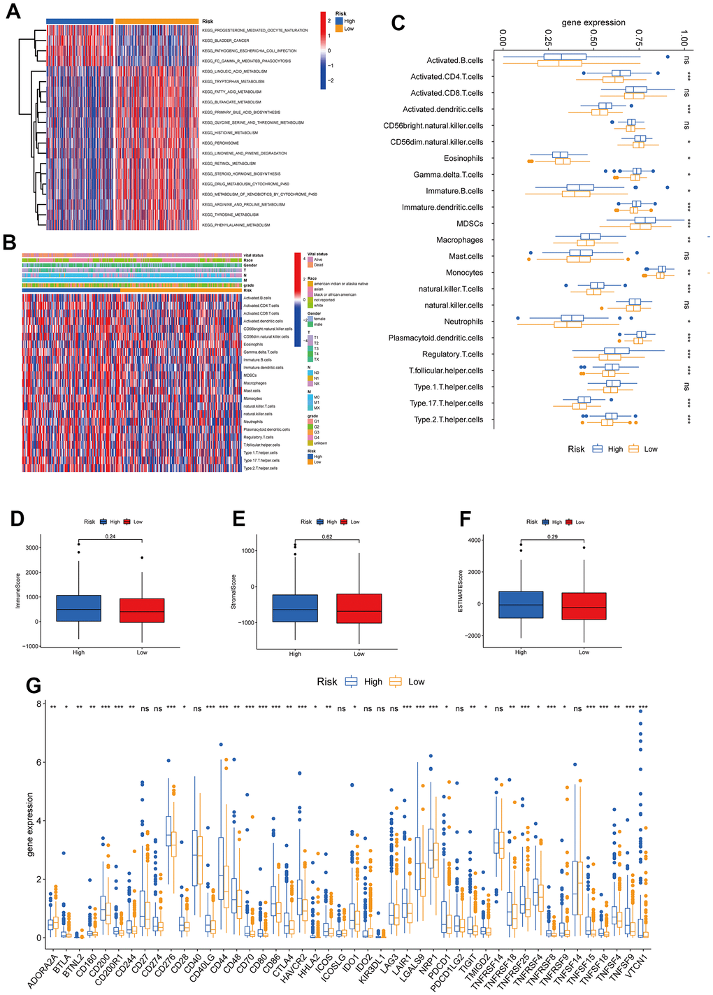 Correlations of tumor immune cell microenvironments and two TRPGs prognostic subtypes. (A) GSVA of biological pathways between two risk groups, in which red represent activated and blue inhibited pathways, respectively. (B) Heatmap of the clinicopathologic characteristics and tumor-infiltrating cells in the two risk groups. (C) Expression abundance of 23 infiltrating immune cell types in the two risk subtypes. (D–F) Correlations between the TME score and the two risk subtypes. (G) Expression of immune checkpoints between the two risk subtypes. *p