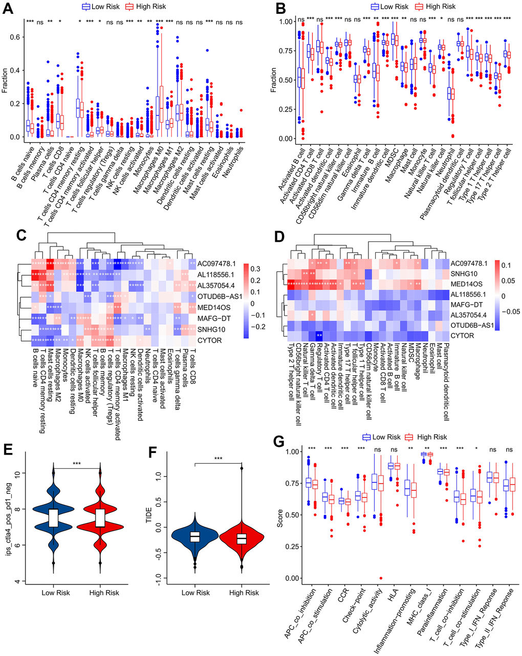 Immune infiltration landscape and immune response analysis of patients with breast cancer. The fraction of immune cells calculated by (A) CIBERSORT and (B) ssGSEA algorithms. (C) Correlation analysis of prognostic ARL and 22 types of immune cells. (D) Correlation analysis of prognostic ARL and 23 types of immune cells. (E) Immunophenoscore (IPS) analysis. (F) Tumor immune dysfunction and exclusion (TIDE) analysis. (G) Immune function score of patients in low-risk group and high-risk group.