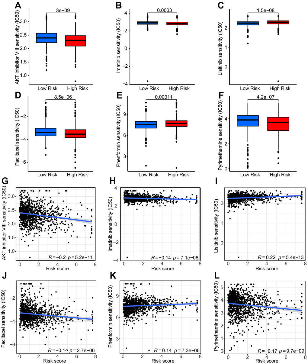 Drug sensitivity analysis of patients with breast cancer in low-risk group and high-risk group. The distribution of IC50 values shows a significant difference between patients in the low-group and high-risk group among (A) AKT inhibitor VIII, (B) imatinib, (C) linsitinib, (D) paclitaxel, (E) phenformin, and (F) pyrimethamine. (G–L) Correlation analysis of risk score and drug sensitivity.