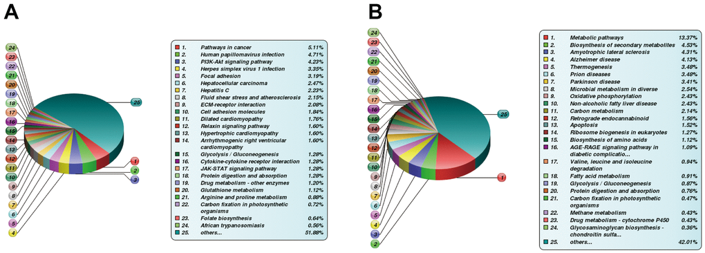 Differentially expressed (DE) proteins are enriched via the KEGG pathway. (A) KEGG analysis between FBLN2 deficient and control cells; (B) KEGG analysis between NPR3 deficient and control cells.