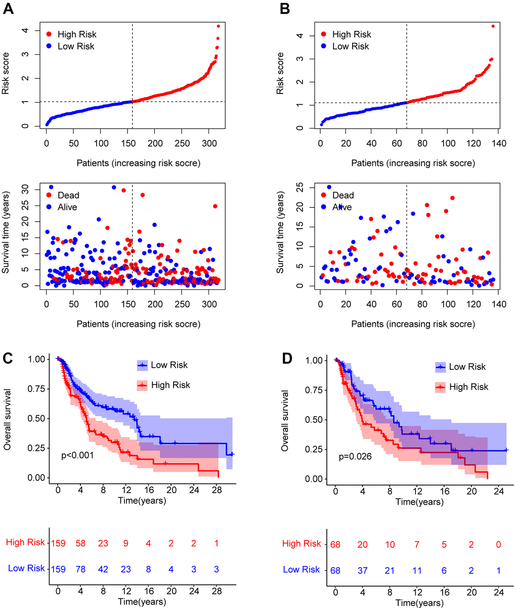Risk model construction in the training cohort and test cohort based on the prognostic ARLs. The classification of the CM patients and the scatter dot plot demonstrates the correlation between the risk score and survival time of CM patients in training cohort (A) and test cohort (B). (C, D) The Kaplan-Meier survival curve shows the OS rate of patients in the training cohort and test cohort.