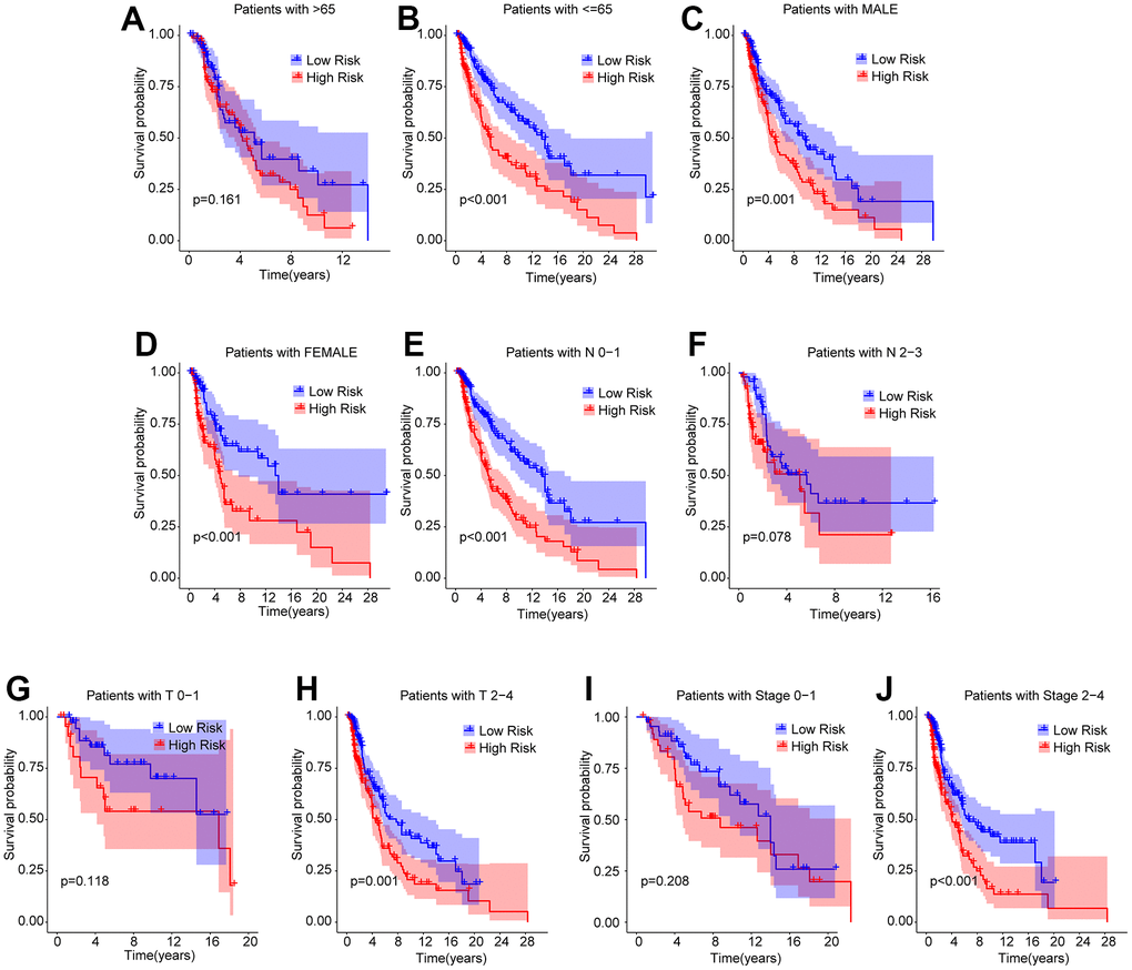 Subgroup analysis of CM patients with low- and high-risk scores in different clinicopathological characteristics. The Kaplan-Meier survival curve shows the OS rate of CM patients in the low- and high-risk group stratified by (A, B) Age (> 65 vs ≤ 65); (C, D) Gender (male vs female); (E, F) N (N 0–1 vs N 2–3); (G, H) T (T 0–1 vs T 2–4); (I, J) Stage (stage 0–1 vs stage 2–4).