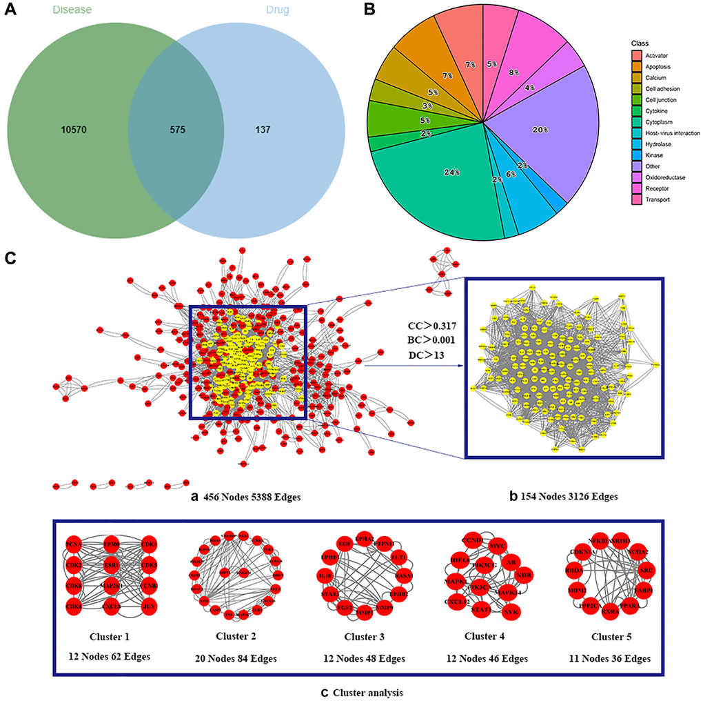 Identification of potential targets of BXD for the treatment of neuroinflammation. (A) Venn diagram of overlapping targets for BXD and neuroinflammation. (B) The BXD anti-inflammatory target classes. (C) Identification of candidate targets for BXD against neuroinflammation via PPI analysis. (a) PPI networks of shared targets between BXD and neuroinflammation analyzed by STRING 11.5. (b) Most significant module identified by the topology selection. (c) Core 154 targets in the PPI network based on clustery analysis using the MCODE plug-in.