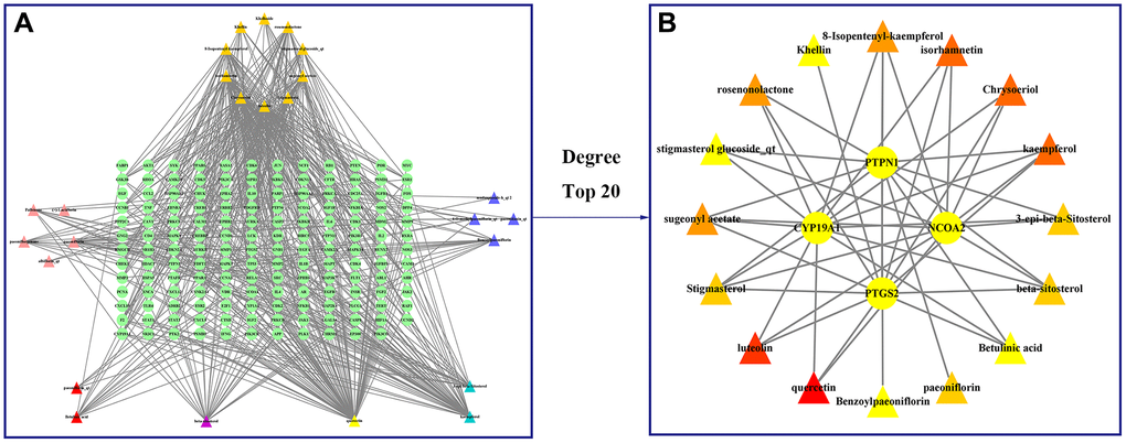 Construct a drug (BXD component)-disease (neuroinflammation) network. Nodes representing drug candidates are represented by triangles and targets are represented by circles. (A) Drug (component)-disease (neuroinflammatory target) network. (B) Select the top 20 nodes from the drug-disease network.