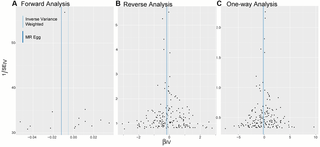 Funnel plots. (A–C) Are applied to detect whether the observed associations of different analyses were along with obvious heterogeneity. Distribution of SNPs as genetic tools is symmetrical on both sides of the IVW line and MR Egger line. Abbreviations: IV: instrumental variables; IVW: inverse variance weighted; SE: standard error.