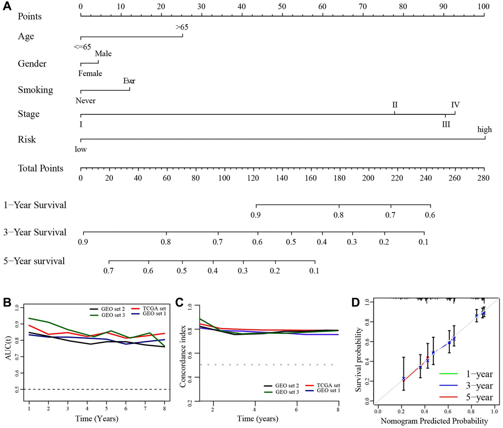 Construction of a prognostic nomogram. (A) A nomogram for predicting the 1-, 3-, and 5-year overall survival rate in LUAD patients. (B) The time-dependent AUC value. (C) The time-dependent C-index. (D) The calibration plot.