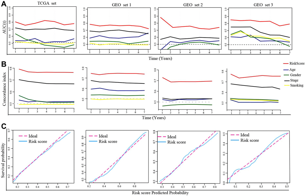 Evaluation of the DRGs model. (A) The time-dependent AUC value in each set. (B) The time-dependent C-index in each set. (C) The calibration plots of each set. Abbreviations: AUC: The area under the curve; C-index: concordance index.