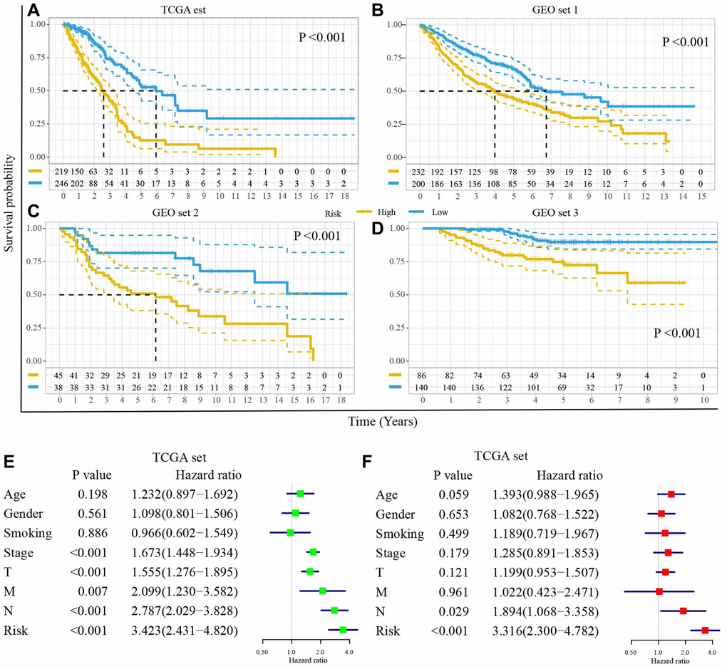 The DRGs model is an independent prognostic factor for the prognosis of LUAD. Survival difference between high- and low-risk groups (A) in TCGA set, (B) GEO set 1, (C) GEO set 2, (D) GEO set 3. (E) The univariate Cox regression analyses of risk score and clinical characteristics in TCGA set. (F) The multivariate Cox regression analyses of risk score and clinical characteristics in TCGA set.