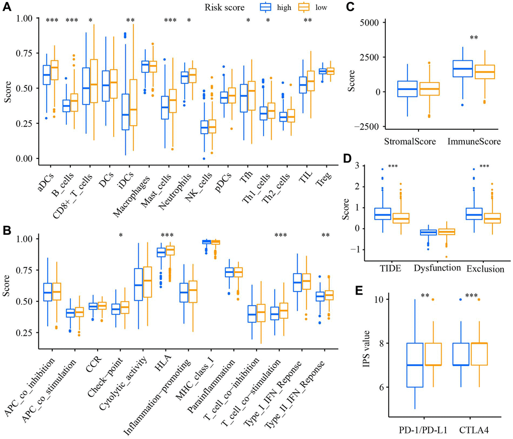 The relation of the DRGs model to immune statue. Comparison of the enrichment score of (A) TIICs, (B) immune-related functions, (C) TME, (D) TIDE score, (E) The immunophenoscore value between low- and high-risk groups. *P **P ***P 