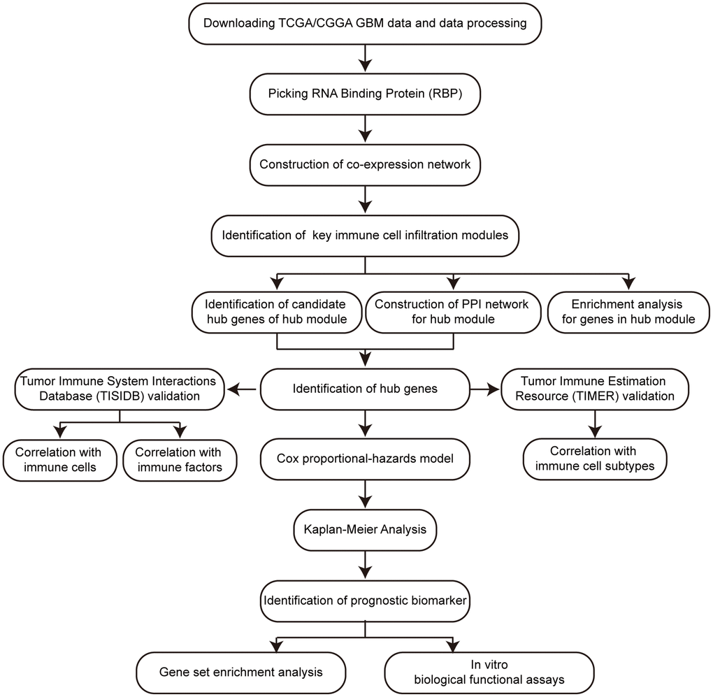 Workflow of this research.