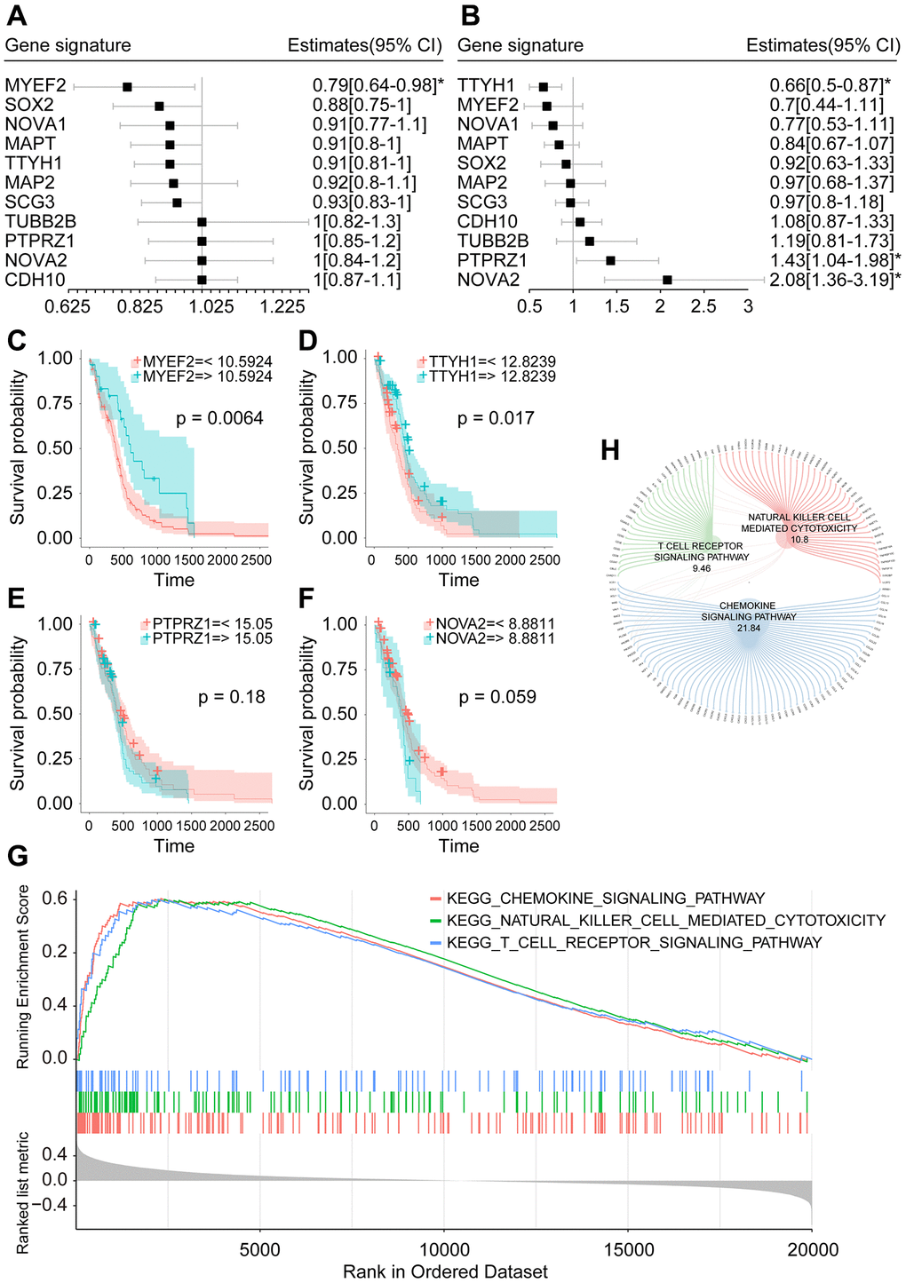 Prognostic analysis of hub genes. (A) Forest plot of univariate Cox analysis of hub genes. (B) Forest plot of multivariate Cox analysis of hub genes. (C) Overall survival analysis of MYEF2. (D) Overall survival analysis of TTYH1. (E) Overall survival analysis of PTPRZ1. (F) Overall survival analysis of NOVA2. (G) Plot of the top three enriched pathways in GSEA analysis of MYEF2. (H) Circle diagram of core genes in the top three enriched pathways in GSEA analysis of MYEF2. Larger circle corresponding to each gene represents larger rank metric score value.