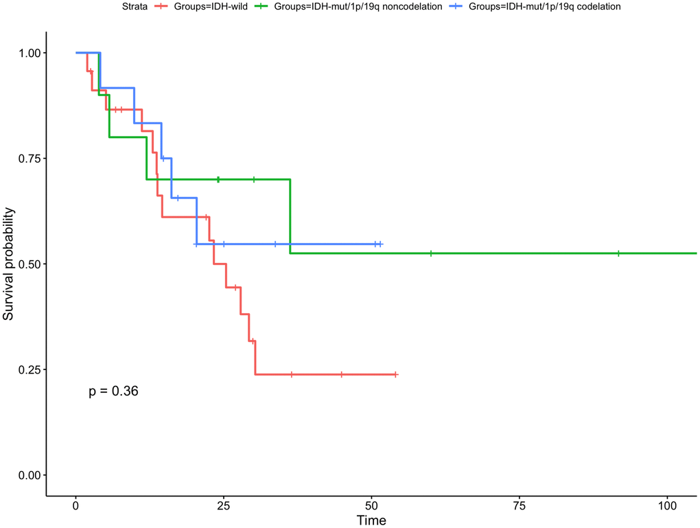 Kaplan-Meier curve for overall survival for subgroup gliomas with different IDH status and 1p/19q codeletion status. There is no statistically significant difference in any subgroups.