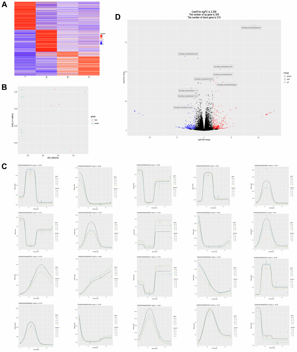 Transcriptome data analysis of cardiac tissues from CLP mice at different times. (A) Heatmap of the overall change of a gene over time, where the abscissa represents time, the vertical axis represents the amount of relative change of a gene, and the redder the color represents the more up-regulated fold of a gene, the more downregulated fold. (B) Principal component analysis plot (PCA) of two sets of sample data at 72 and 0 hours after CLP in the dataset. (C) The statistical plot of the top 20 differential genes over time, with the abscissa representing time and the ordinate representing the amount of expression of a single gene. (D) Differential gene volcano plot between 72H and control: 305 differentially expressed genes were up-regulated, and 210 differentially expressed genes were down-regulated with a logFC (relative expression of genes) cut-off value of 3.306, P 