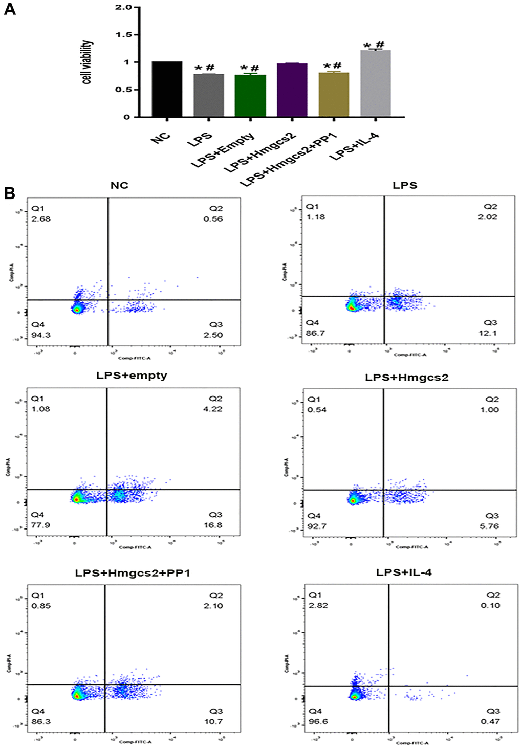 Hmgcs2 affects cardiomyocyte activity via macrophage polarization. (A) CCK-8 experiments showed the effects of different groups of macrophages on the activity of cardiomyocytes after co-culture with cardiomyocytes. (B) Flow cytometry experiments showed the effects of different groups of macrophages on cardiomyocyte apoptosis after co-culture with cardiomyocytes. Abbreviations: NC: control group; LPS: LPS induced M1 type macrophages; LPS+ empty: M1 macrophage group transfected with empty plasmid; LPS+Hmgcs2: Hmgcs2 over-expressing M1 macrophage group; LPS+Hmgcs2+PP1: M1 macrophages with over-expression of Hmgcs2 based on PP1 administration; LPS+IL-4: LPS+IL-4 induced M2 type macrophages. *P **P ***P #P ##P ###P 