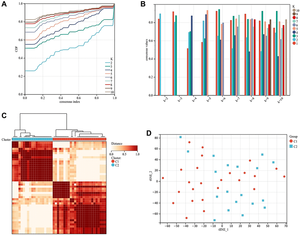 Cluster analysis based on the expression of genes related to osteogenesis inhibition and osteoclast promotion. (A) Clustering cumulative distribution function (CDF) curve. (B) Samples clustering consistency, determine k = 2. (C) Clustering Heatmap, cluster 1 (n = 25) and cluster 2 (n = 19). (D) tSNE diagram of two subtypes.