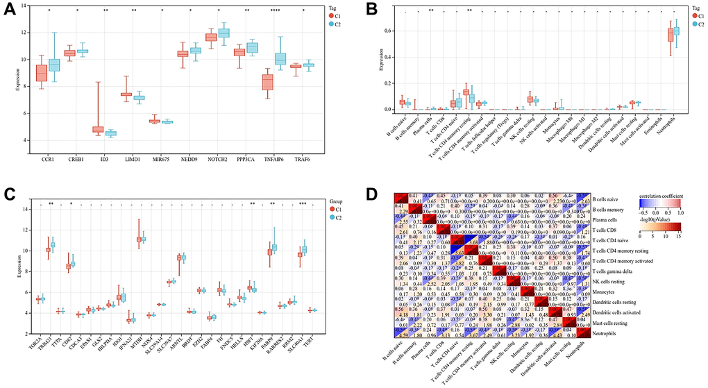 Gene expression and immune cell infiltration of two subtypes. (A) Expression of genes related to osteogenesis inhibition and osteoclast promotion in two subtypes. (B) Expression of genes related to ferroptosis in two subtypes. (C) Violin diagram shows the difference of immune cells between two subtypes of osteoporosis. (D) Correlation heatmap shows the relationship between immune cells. (The statistically significant difference was *p **p ***p 