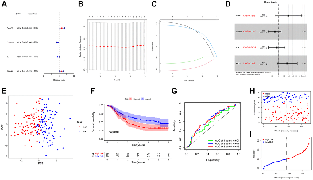 Development of prognostic model. (A) Forest plot of univariate Cox regression. (B, C) LASSO regression algorithm and cross-validation. (D) Forest plot of multivariate Cox regression. (E) PCA plot based on the risk score. (F) Kaplan-Meier curves for the OS of patients in the high- and low-risk groups. (G) ROC curves demonstrated the predictive efficiency of the risk score. (H) The survival status for each patient. (I) Distribution of patients based on the risk score.