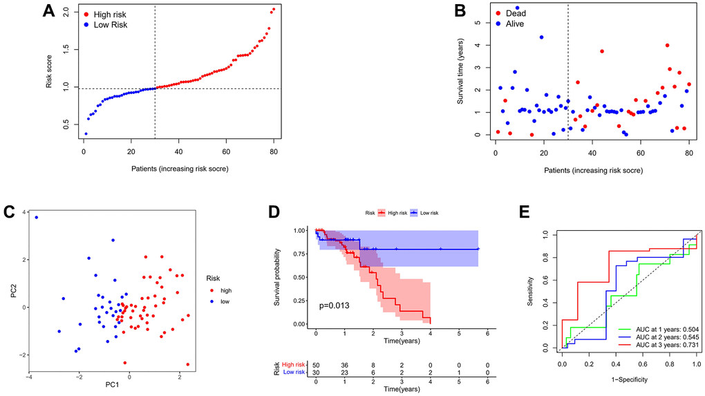 Validation of the risk model in the TCGA cohort. (A) Distribution of patients in the TCGA cohort based on the median risk score in the GEO cohort. (B) The survival status for each patient. (C) PCA plot. (D) Kaplan-Meier curves for the OS of patients in the high- and low-risk groups. (E) Time-dependent ROC curves.