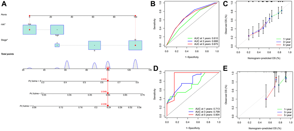 Establishment and evaluation of a predictive nomogram. (A) Nomogram based on the risk score of PRGs and clinicopathological parameters. (B) ROC curves of the nomogram for OS prediction at 1, 3, and 5 years in the GEO cohort. (C) Calibration curves of nomogram for OS prediction at 1, 3, and 5 years in the GEO cohort. (D) ROC curves of the nomogram for OS prediction at 1, 3, and 5 years in the TCGA cohort. (E) Calibration curves of nomogram for OS prediction at 1, 3, and 5 years in the TCGA cohort.