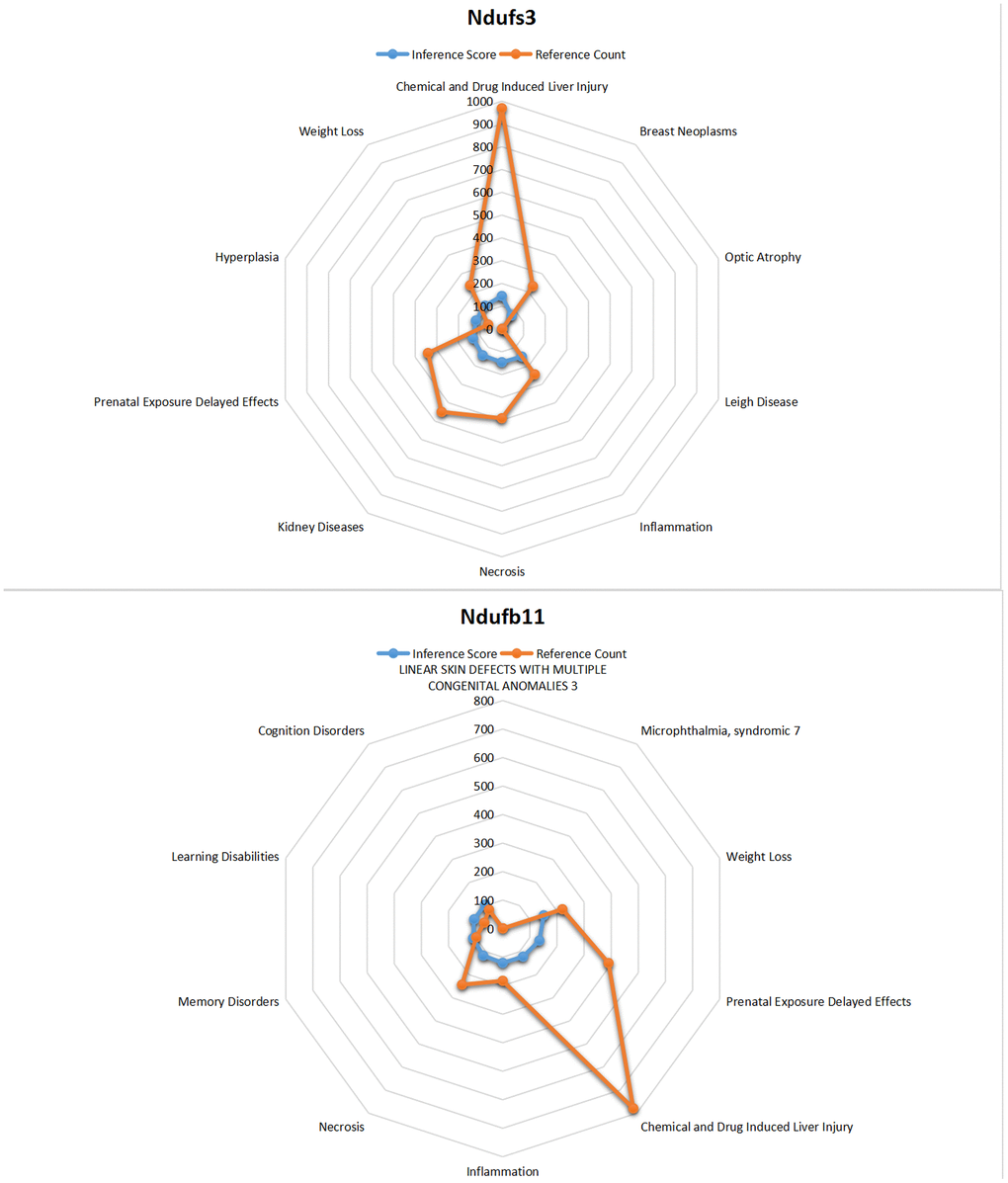 CTD analysis. The core genes NDUFB11 and NDUFS3 were found to be associated with necrosis, hyperplasia, inflammation, renal disease, weight loss, memory impairment, and cognitive impairment.