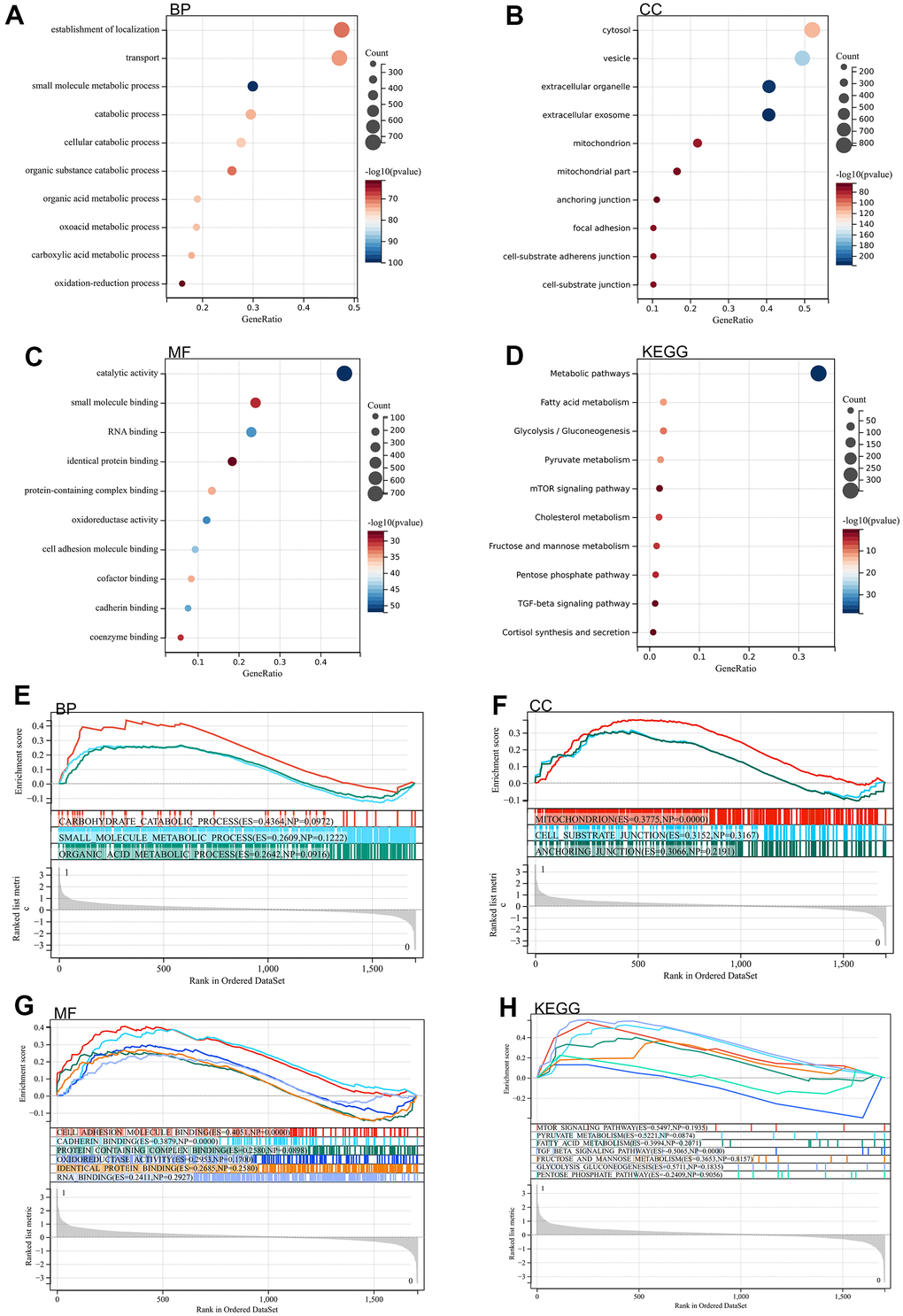 Functional enrichment analysis. (A–D) DEGs (E–H) GSEA.