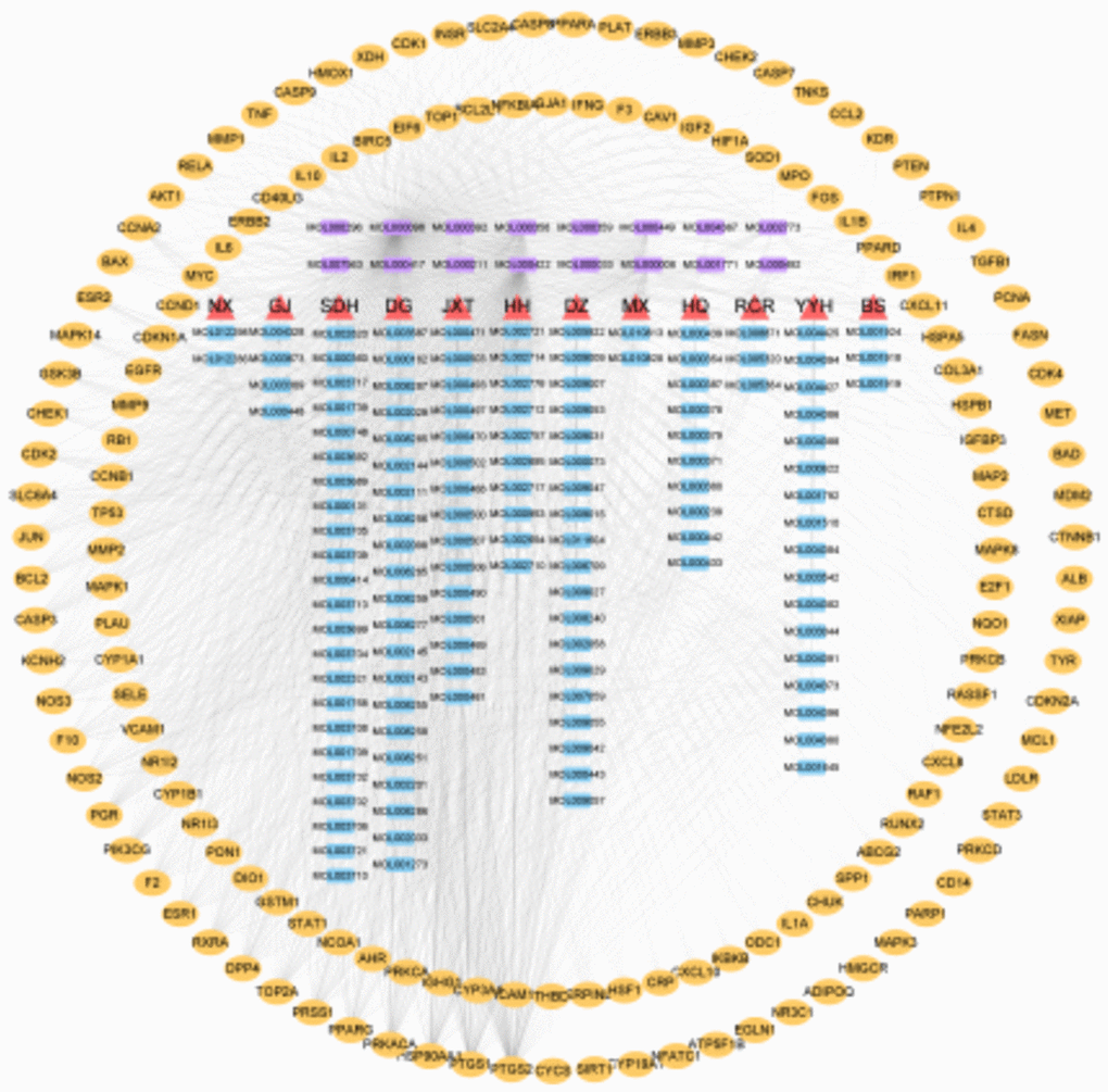 Active component-target network. ▲ Abbreviation of the name of traditional Chinese medicine, MX: Muxiang and so on. ■ the active ingredient (purple is the common active ingredient); ● Target gene.