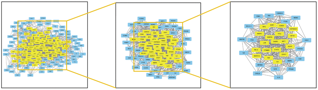 Analysis diagram of intersection target network.