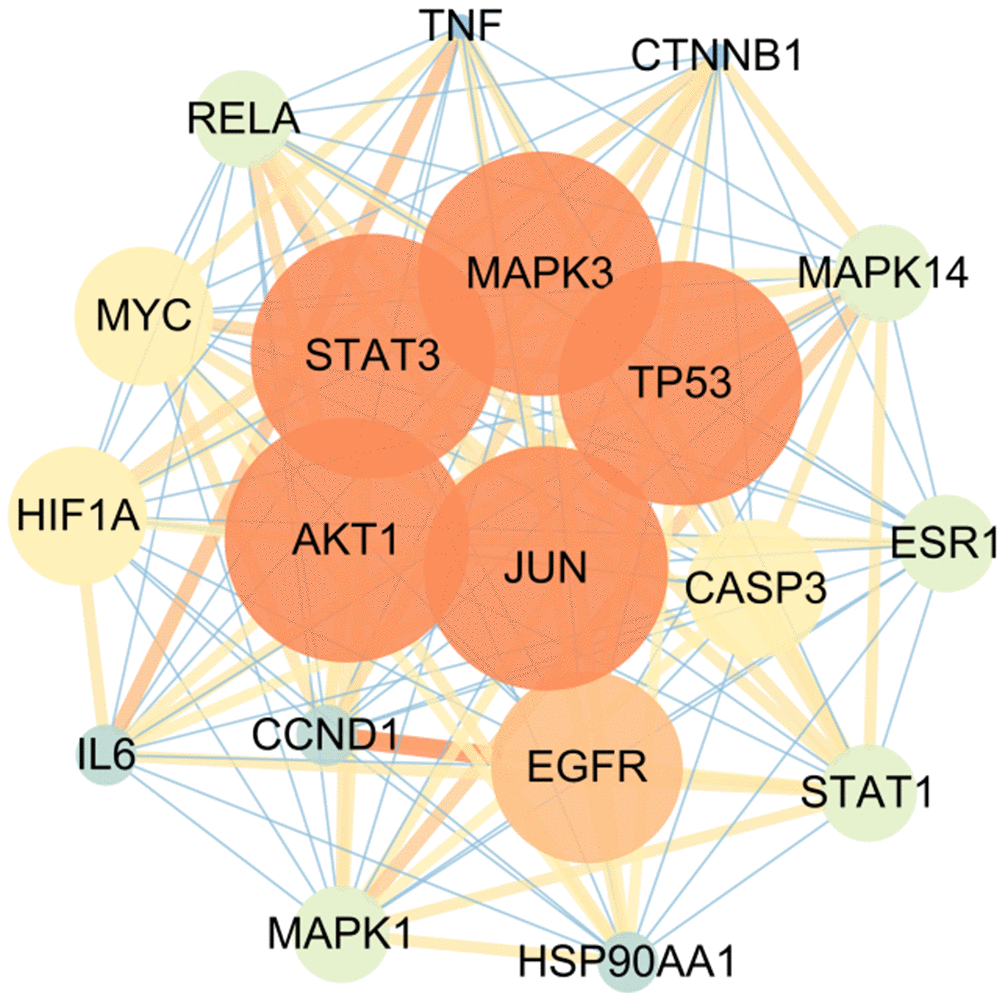 Core network diagram of intersection target.