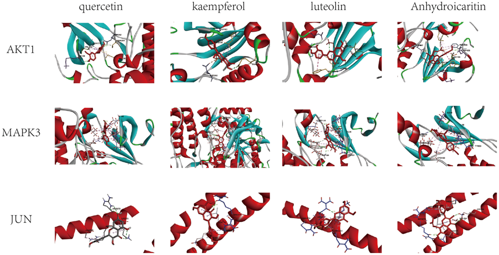 Molecular docking diagram of some proteins and active ingredients.