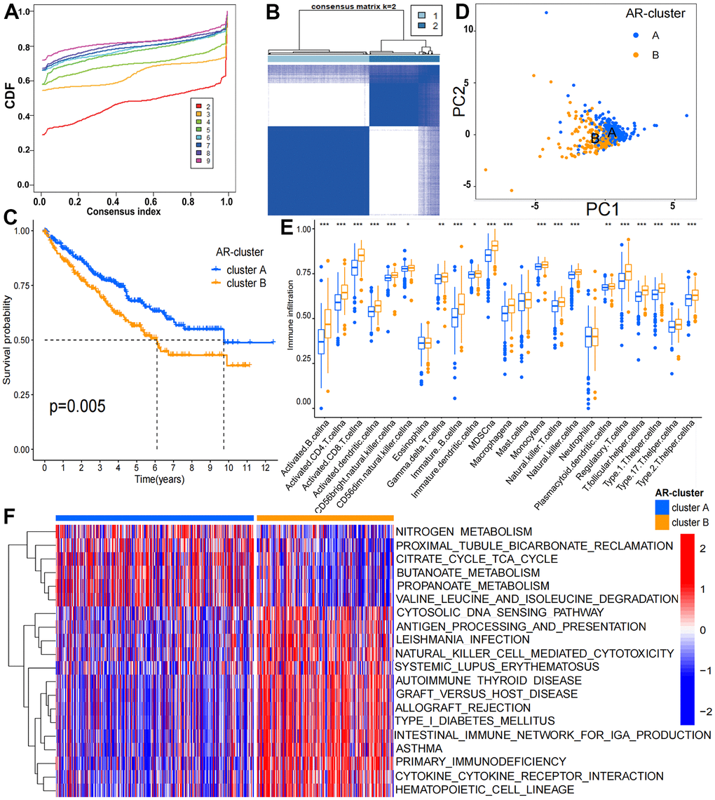 Clinicopathological and biological features of the two ARL subgroups divided by consistent clustering. (A) Consensus matrix CDFs from 2 to 9; (B) Two distinct clusters (k = 2) and their correlation area were identified by consensus matrix heatmap; (C) OS between cluster A and B is significantly different by KM analysis; (D) PCA analysis showed the transcriptome of the two subgroups is apparently different; (E) The abundance of 19 infiltrating immune cells is significantly different in two KIRC subgroups; (F) Biological pathways of the two distinct subgroups by GSVA analysis (p 