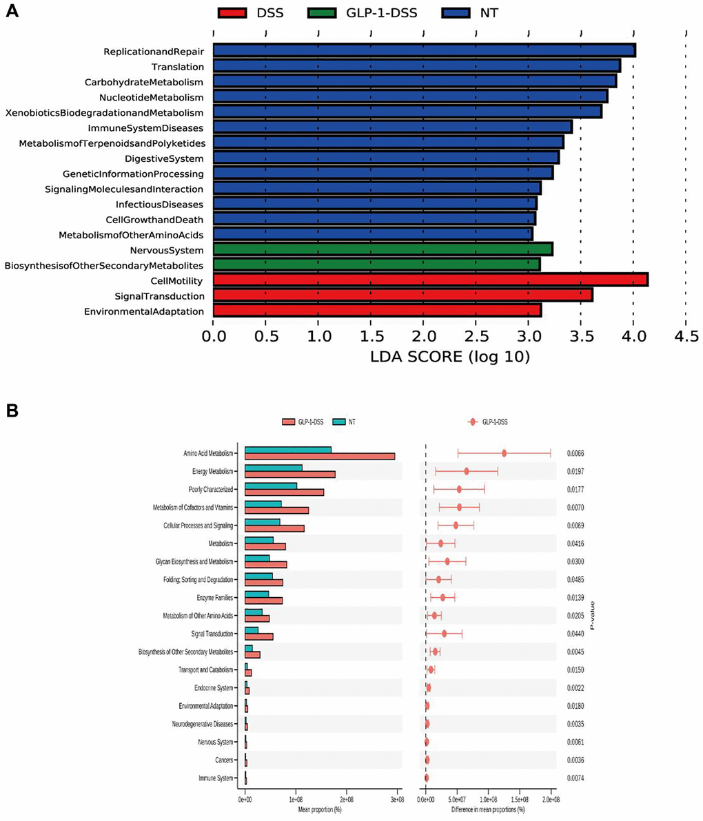 (A) Gene function prediction. (B) Differential KEGG pathways between DSS-GLP-1 and NT groups.