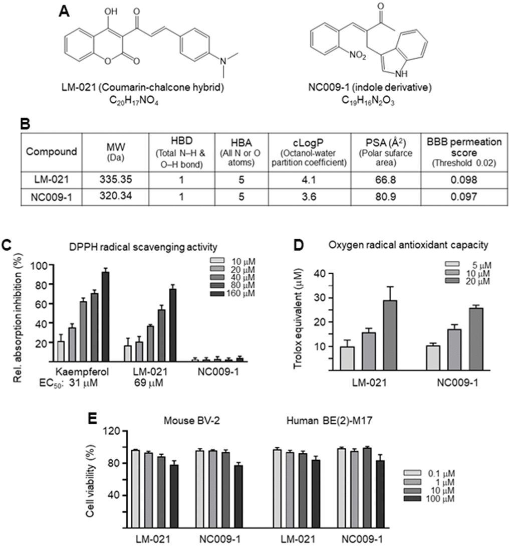 LM-021 and NC009-1. (A) Structure and formula of LM-021 and NC009-1. (B) Molecular weight (MW), hydrogen bond donor (HBD), hydrogen bond acceptor (HBA), calculated partition coefficient of octanol/water (cLogP), polar surface area (PSA), and blood–brain barrier (BBB) permeation score of LM-021 and NC009-1. (C) DPPH free radical scavenging activity of kaempferol (as a positive control), LM-021 and NC009-1 (10−160 μM) (n = 3). Shown below are the EC50 values. (D) Trolox equivalent oxygen radical antioxidant capacity of LM-021 and NC009-1 (5−20 μM) (n = 3). (E) Cytotoxicity of LM-021 and NC009-1 against mouse BV-2 and human BE(2)-M17 cells determined by using the MTT assay. Cells were treated with each test compound (0.1–100 μM) and cell viability was analyzed the next day (n = 3). For normalization, the relative viability of untreated cells was set at 100%.