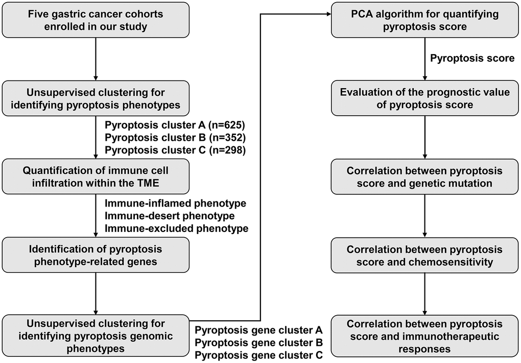 The workflow diagram in this study.