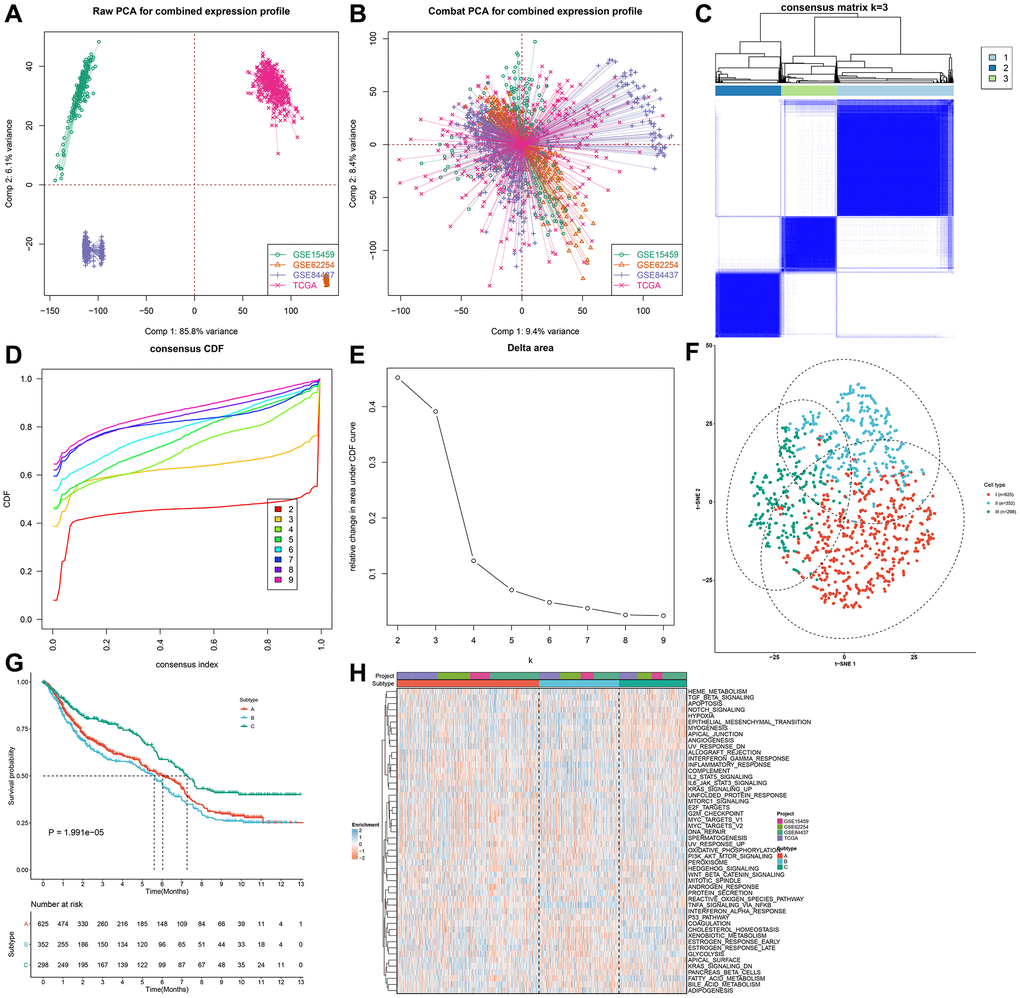 Identification of three distinct pyroptosis phenotypes in gastric cancer. (A, B) Integration of four gastric cancer cohorts (GSE15459, GSE62254, GSE84437 and TCGA-STAD) into one meta-cohort and removal of batch effects. (C) Heat map showing the optimal clustering by k = 3 based on prognostic pyroptosis-related genes in the meta-cohort. (D) The consensus cumulative distribution function (CDF) for the cumulative distributive function of the consensus matrix for k = 2–9 identified by different colors. (E) The CDF plots of consensus clustering matrix for k = 2–9. (F) The t-SNE plots of the mRNA expression profiles of prognostic pyroptosis-related genes showing the three distinct subtypes indicated by different colors. (G) Kaplan–Meier survival curves for the three pyroptosis subtypes based on the 1275 gastric cancer specimens in the meta-cohort (log-rank test). (H) Heatmap showing the GSVA score of the 50 hallmark pathways in three pyroptosis phenotypes.